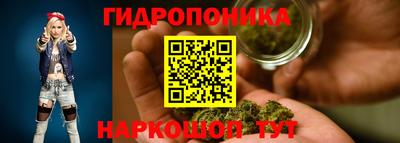 мдпв Пенза