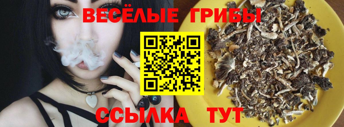 Псилоцибиновые грибы Psilocybe  Псилоцибиновые грибы мицелий  Северодвинск  Вход с VPN 